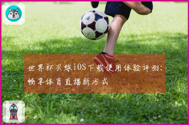 世界杯买球iOS下载使用体验评测：畅享体育直播新方式