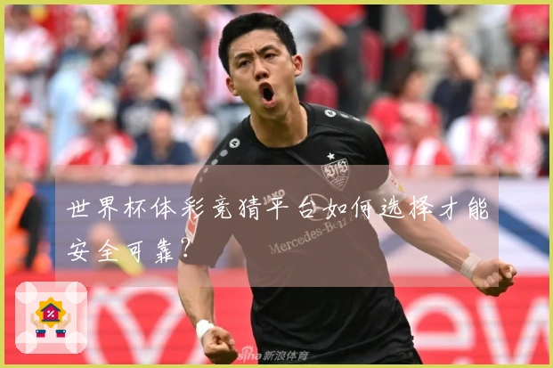 世界杯体彩竞猜平台如何选择才能安全可靠？