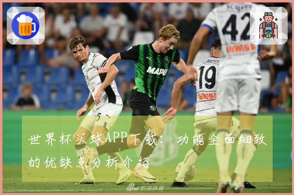 世界杯买球APP下载：功能全面细致的优缺点分析介绍