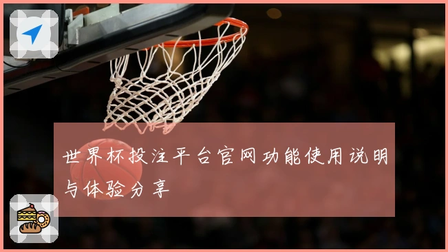 世界杯投注平台官网功能使用说明与体验分享