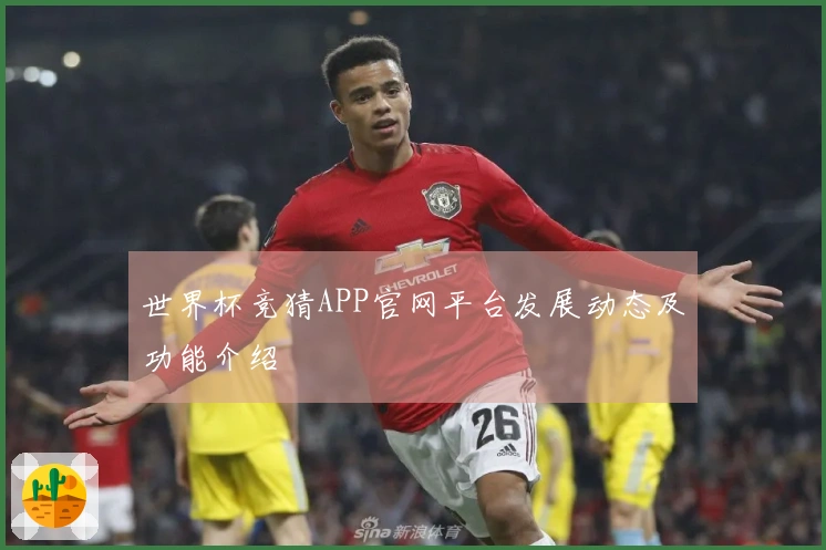 世界杯竞猜APP官网平台发展动态及功能介绍