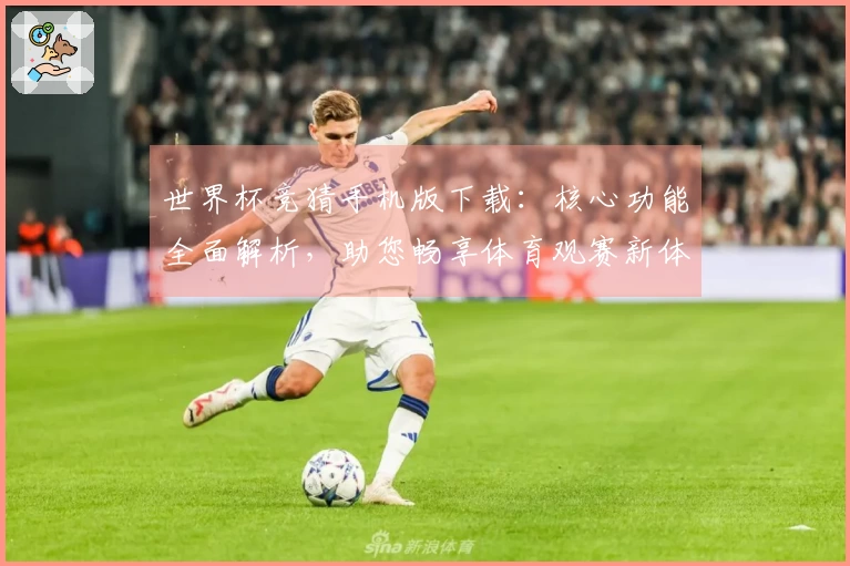 世界杯竞猜手机版下载：核心功能全面解析，助您畅享体育观赛新体验