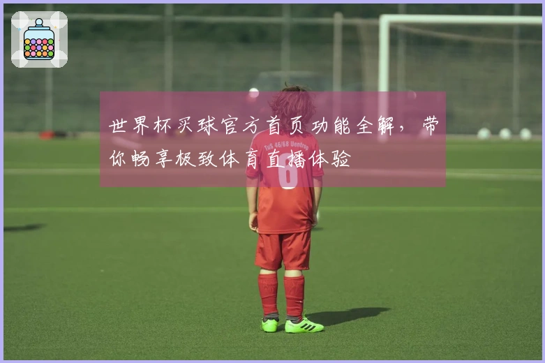 世界杯买球官方首页功能全解，带你畅享极致体育直播体验