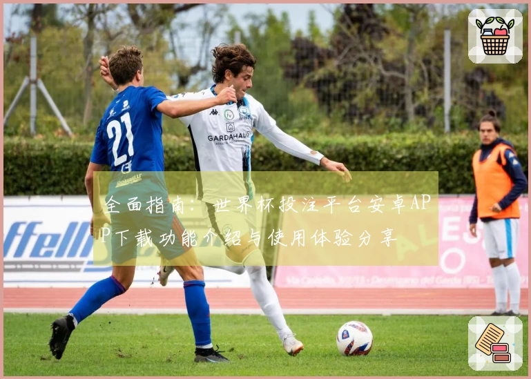 全面指南：世界杯投注平台安卓APP下载功能介绍与使用体验分享