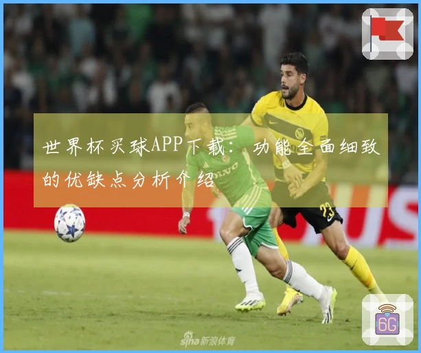 世界杯买球APP下载：功能全面细致的优缺点分析介绍