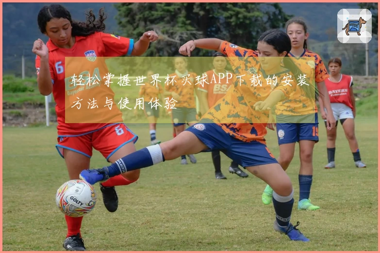 轻松掌握世界杯买球APP下载的安装方法与使用体验