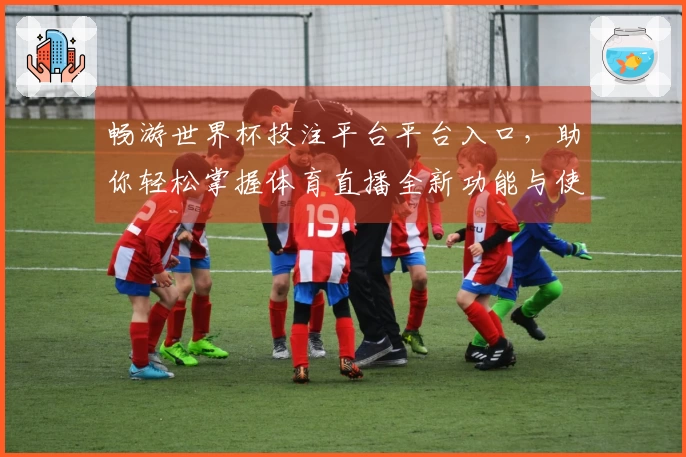 畅游世界杯投注平台平台入口,助你轻松掌握体育直播全新功能与使用体验