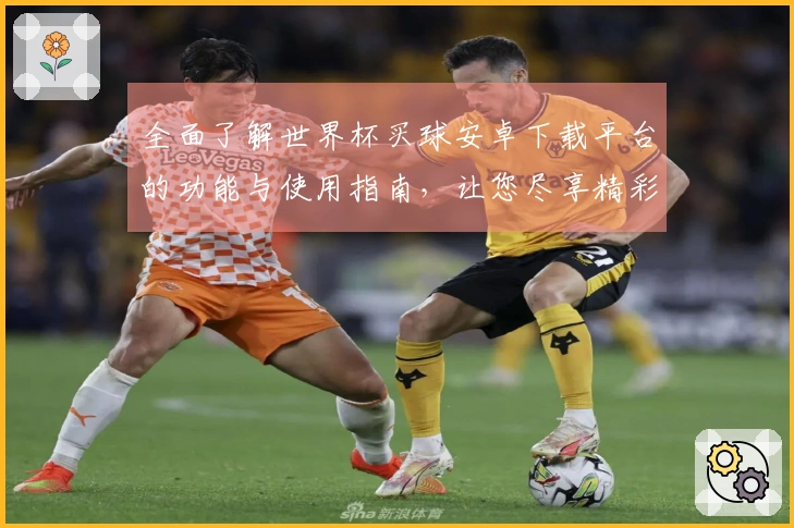 全面了解世界杯买球安卓下载平台的功能与使用指南，让您尽享精彩赛事直播体验