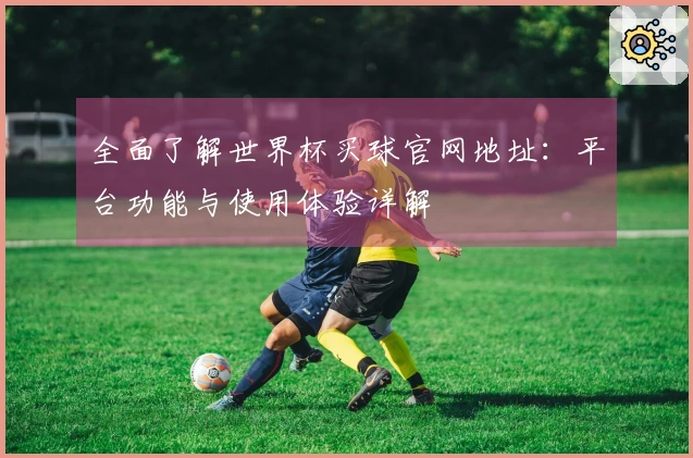 全面了解世界杯买球官网地址：平台功能与使用体验详解