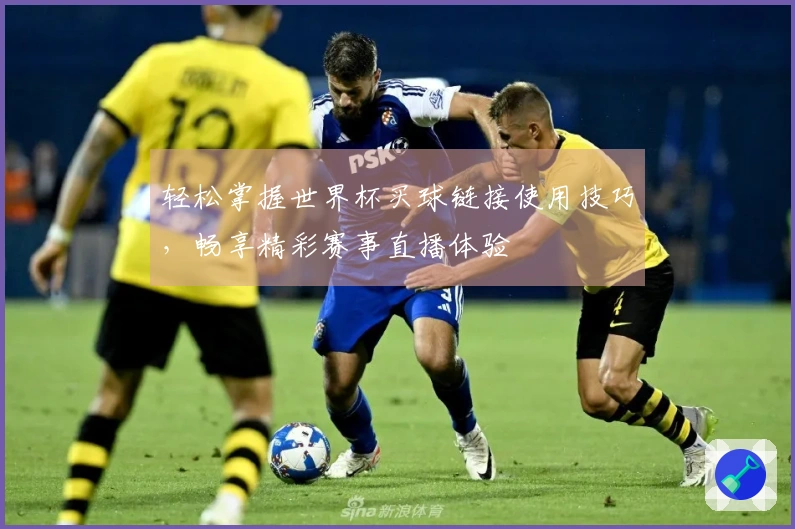 轻松掌握世界杯买球链接使用技巧，畅享精彩赛事直播体验