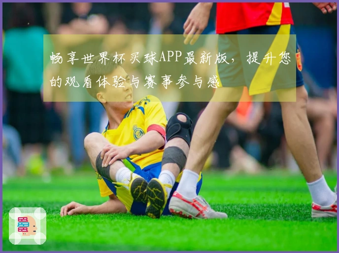 畅享世界杯买球APP最新版，提升您的观看体验与赛事参与感