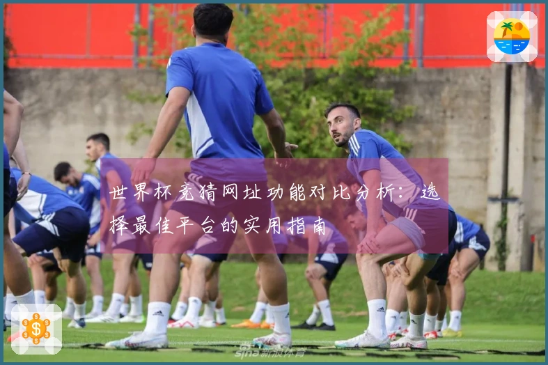 世界杯竞猜网址功能对比分析：选择最佳平台的实用指南